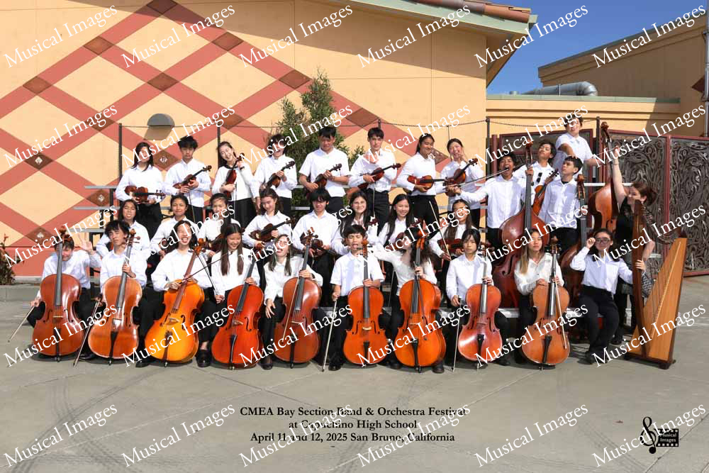 Musical Images